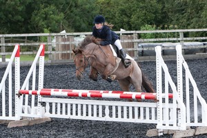 Class 6 - Fences not above 2'9